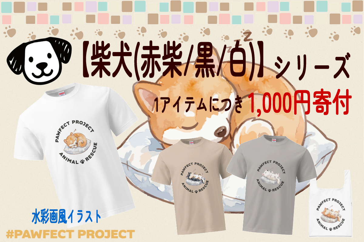 柴犬シリーズのイメージ