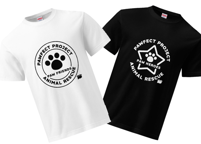 支援Tシャツのイメージ